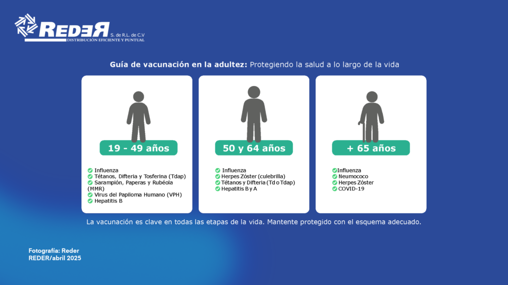 Infografía con una tabla de vacunas recomendadas para cada grupo de edad en adultos, con ilustraciones de personas vacunándose.