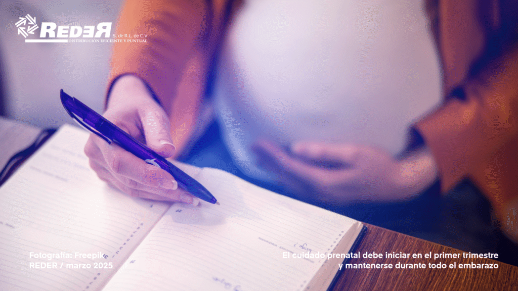 Mujer embarazada revisando su calendario de consultas médicas.