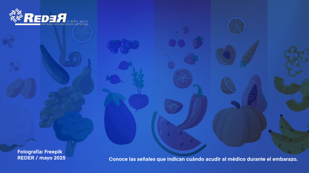Infografía con grupo de alimentos para embarazadas.